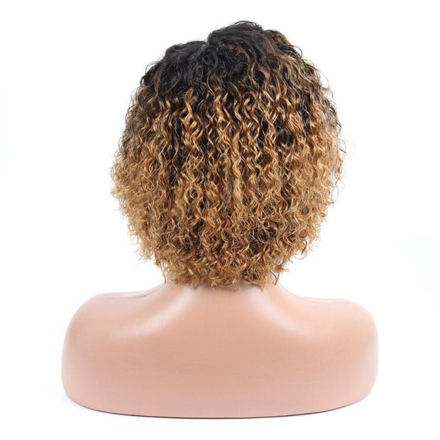 13x4 Lace Wig Curly Frontal 100 Human Hair Free Part Ombre 1B/30/27