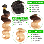 Ombre Lace Closure Body Wave 100% Human Hair
