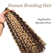 Human Braiding Hair Water Wave 2 bundle 100g Color 4P27