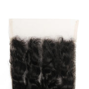 5x5 Transparent Lace Deep Wave Lace Closure Brazilian Virgin Human Hair