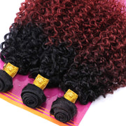 Ombre Black & Burgundy (1B/99J) Jerry Curl 100% Virgin Hair