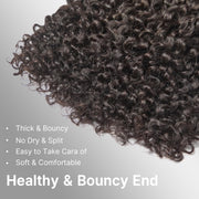 Burmese Curly Human Hair Bundles #1B Natural Color Wavy Mink Hair and 5*5 Transparent Closure For Women