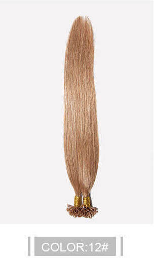 Ustar 100% Human Hair Quality U Tip Straight Hair Extensions  #12